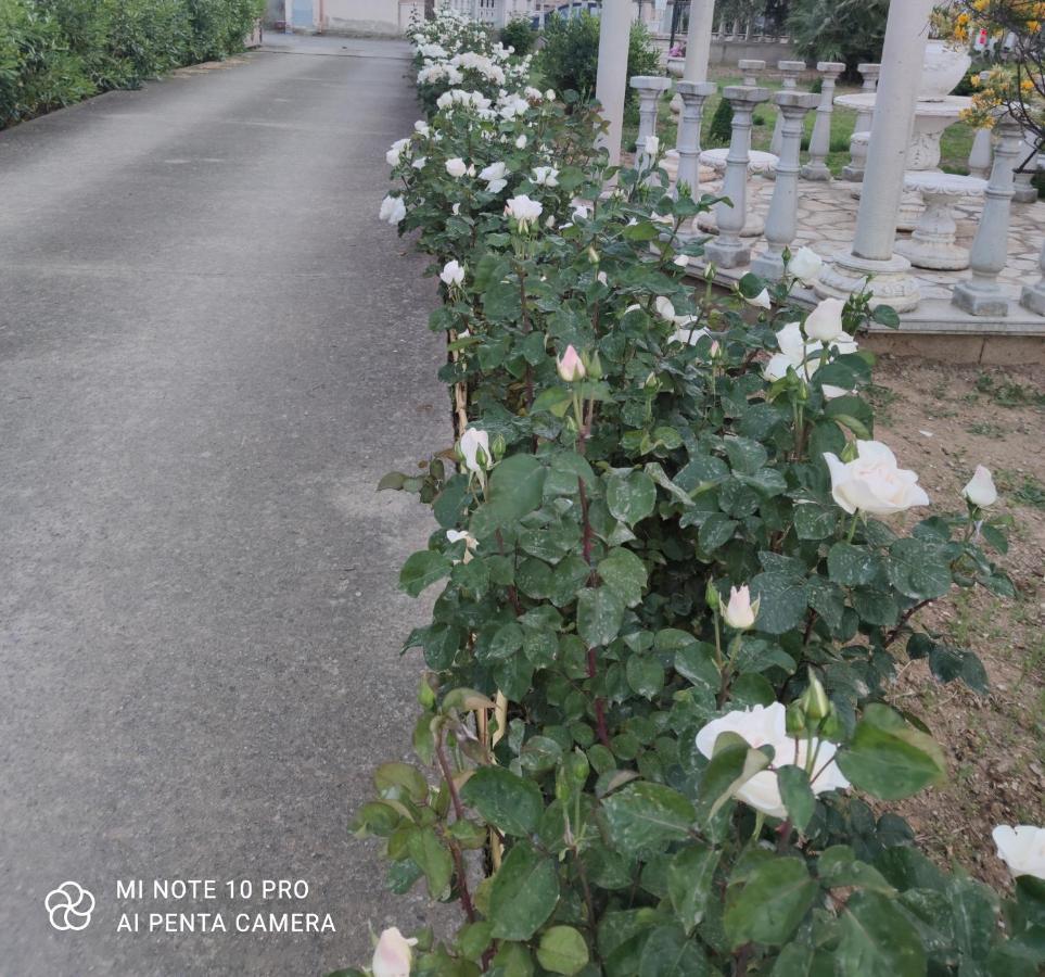 Villa La Casa Delle Rose 2 Giba Esterno foto